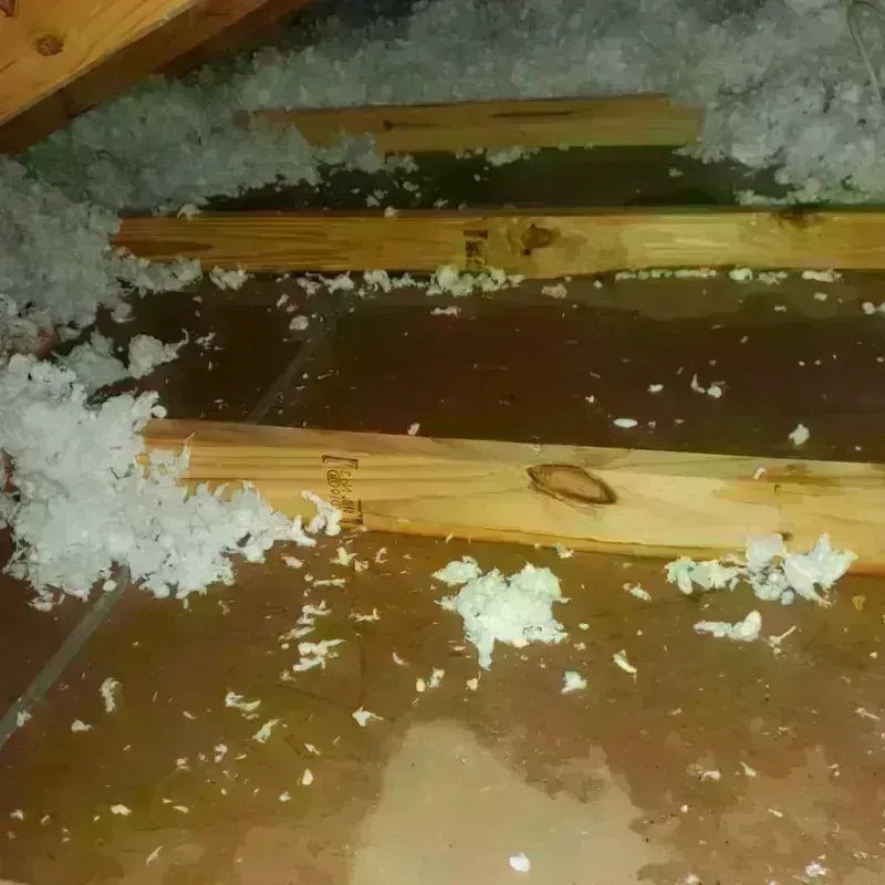 Attic Water Damage in Orange, OH